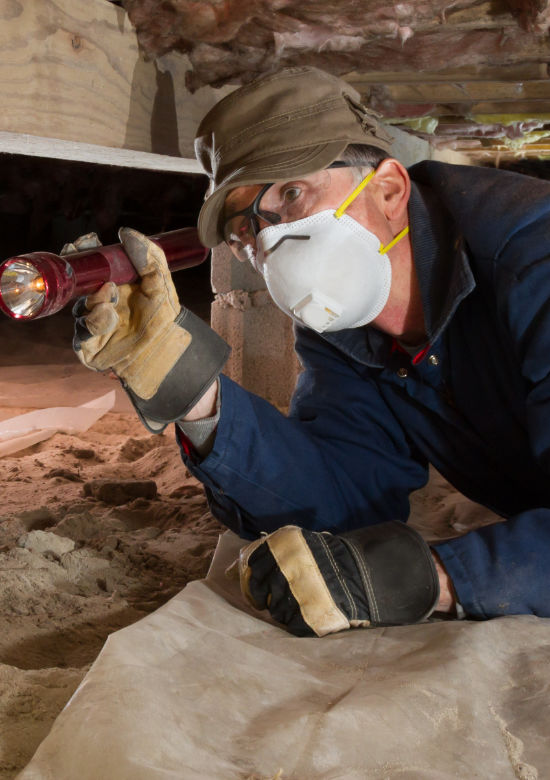 Pest control services technician conducting pest inspection